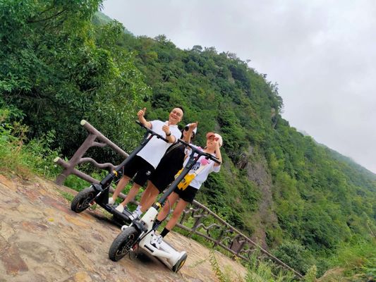 250W Foot Running 3 Wheel Foldable Electric Scooter