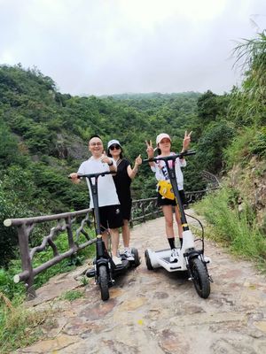 250W Foot Running 3 Wheel Foldable Electric Scooter