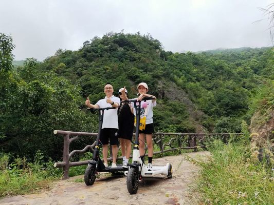 250W Foot Running 3 Wheel Foldable Electric Scooter