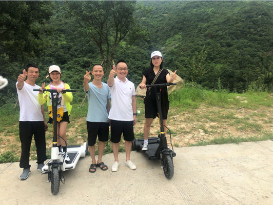 36V Lithium Battery Alu Alloy Foldable 3 Wheel Scooter